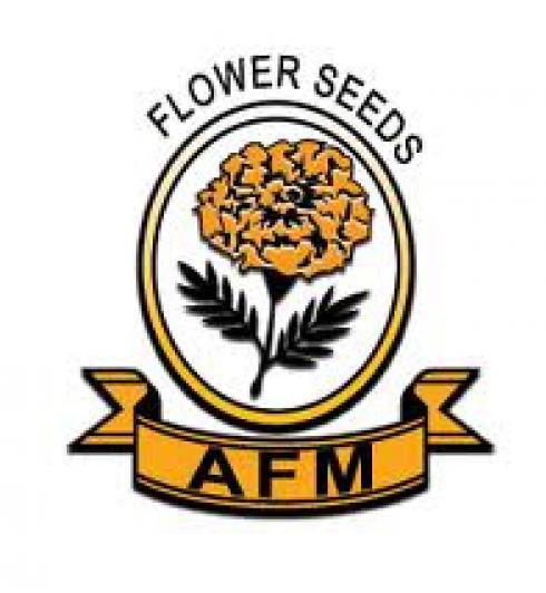 บ.อะเมริซีด อินเตอร์เนชั่นแนล จก.