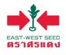บ.อิสท์ เวสท์ ซีด จก.