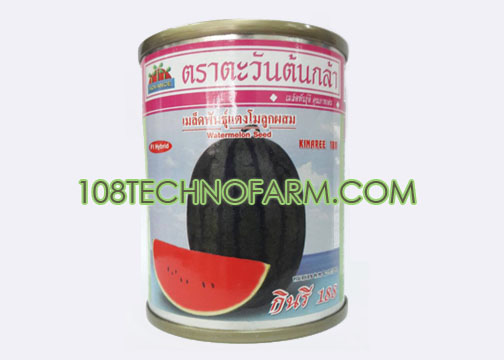 เมล็ดพันธุ์แตงโมลูกผสม กินรี 188 ตราตะวันต้นกล้า