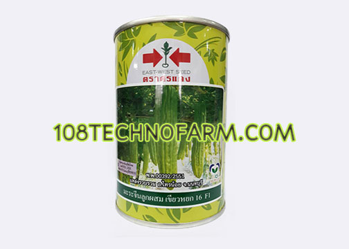 มะระจีนลูกผสมเขียวหยก 16 F1 ตราศรแดง