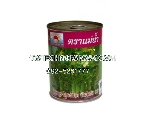 แตงกวานิยมชัย 03 100g แตงกวานิยมชัย 03 100g