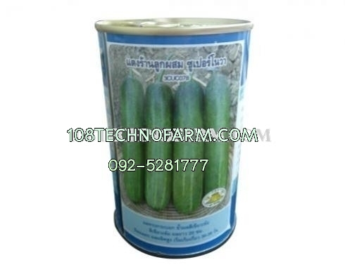 แตงร้านซุปเปอร์โนวา 50g/100g.