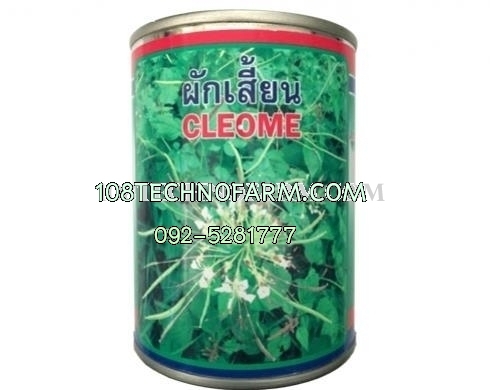 ผักเสี้ยนภูเขาทอง 60g ผักเสี้ยนภูเขาทอง 60g