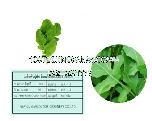 สลัดผักร็อคเก็ต  10g/100g