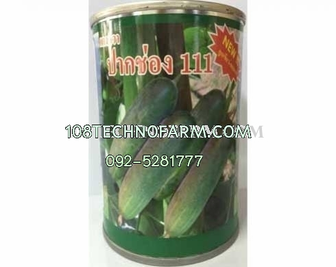 แตงกวาปากช่อง 111 100g. แตงกวาปากช่อง 111 100g.