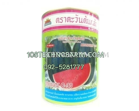แตงโมขุนแผน C30 250g. แตงโมขุนแผน C30 250g.