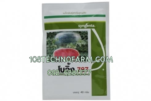 แตงโมโบอิ้ง787 40g. แตงโมโบอิ้ง787 40g.