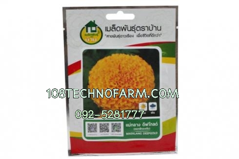 ดาวเรืองแม่กลาง ดีฟโกลด์ 1,000 เมล็ด