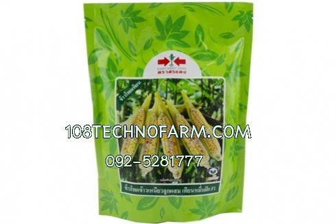 ข้าวโพดข้าวเหนียวเทียนหมื่นฝัก 1 กิโลกรัม