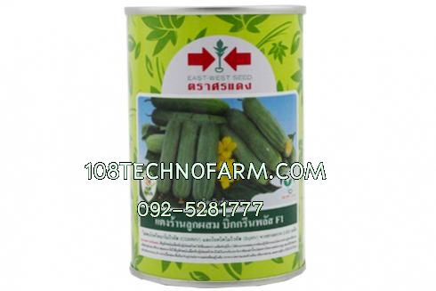 แตงร้าน บิ๊กกรีนพลัส 100 กรัม