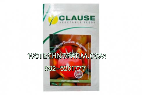 มะเขือเทศป๊อปปี้287 มะเขือเทศป๊อปปี้287